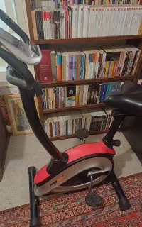 دوچرخه ثابت