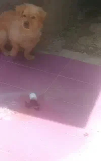 قیمت توافقی