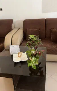 سرویس مبل ‌ونیز