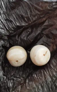 جفت مهره برد اصل