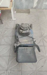 ماشین چمن زنی