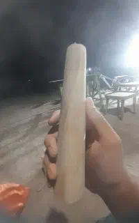 پایه مخروطی چوبی راش