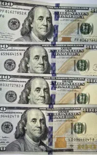 دلار کلکسیونی