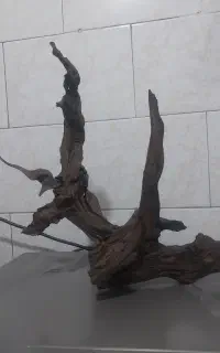 آبنوس