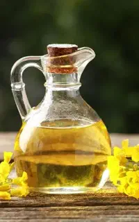روغن کلزا
