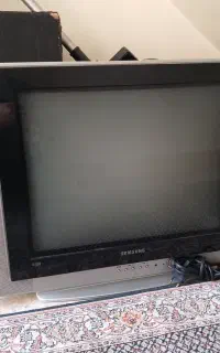 تلوزیون