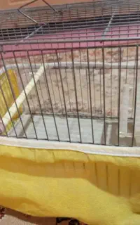 قفس پرنده با لوازم جانبی