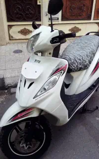 وگو مدل ۹۵