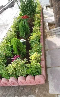 خدمات باغبانی گلکاری کاشت گل تعویض خاک گلدان