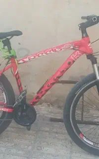 دوچرخه