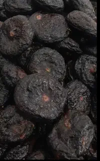 انجیر خشک درجه یک