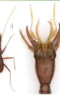 مرکز فوق تخصصی سم پاشی و کنترل آفات