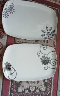 دوعدد دیس چینی دسینی