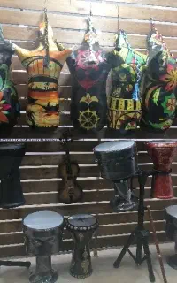 حرفه ای تا مبتدی