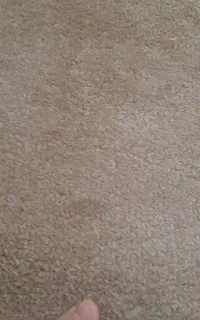 موکت پالاز نو + موکت ساده‌ی قهوه‌ای کمرنگ