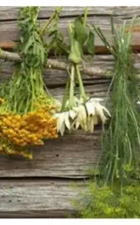 با گوشی در منزل به درآمد برسید