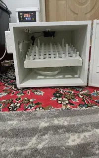 دستگاه جوجه کشی