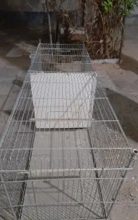 قفس پرورشی