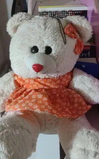 عروسک خرس و میکی موس