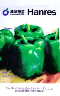 بذر فلفل دلمه هانرس