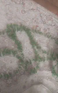 گل زیبا