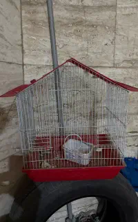 قفس پرنده