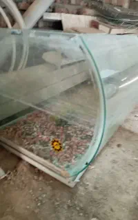 آکواریوم