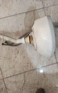 روشو  باشیر سالم
