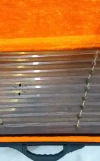 سنتوربه همراه کیف