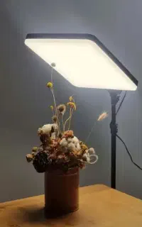 2 عدد سافت لایت رینگ لایت