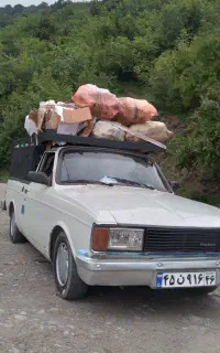 باربری