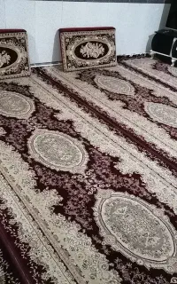 شش عدد پشتی و 4 عدد فرش شش متری 1.5 در4