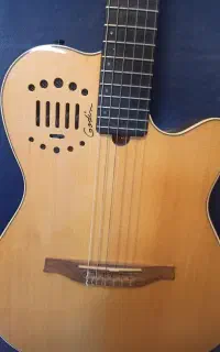 گیتار گودین Godin