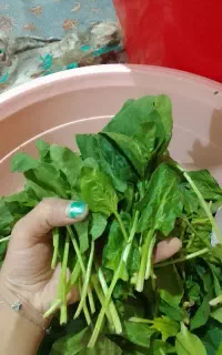 ماشین کنترلی وسبزی خورشتی
