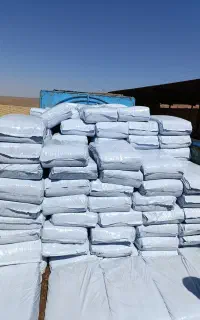 ذرت علوفه ای