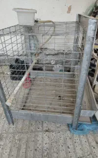 قفس بزرگ همراه با ابخوری