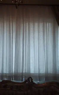 پرده کریشه