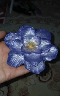 جاعودی،اکسسوری