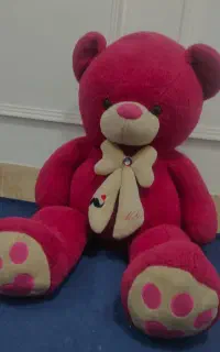 خرس یک متری