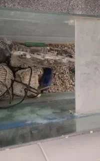 آکواریوم