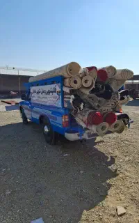 قالیشویی ماهان در گلستان صالحیه سبزدشت الهیه