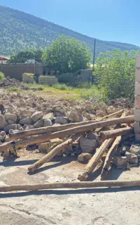 چنار