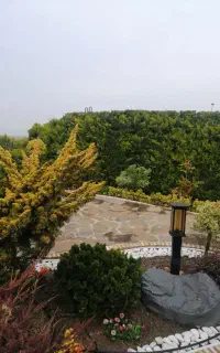 خدمات تمیز کاری ونظافت