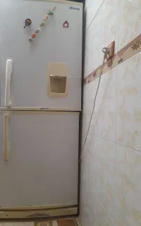 یخچال اورست