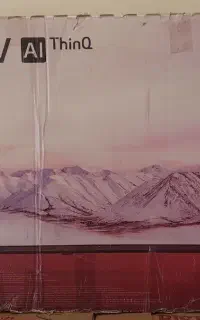کارتن