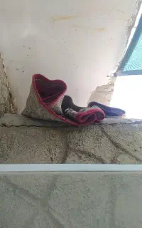 قالی و موکت