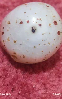سنگ عقیق