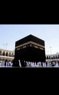 فیش عمره