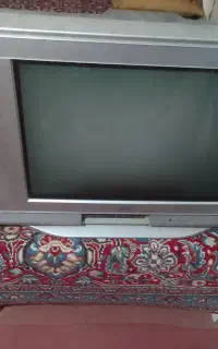 تلوزیون