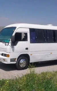 مینی بوس دربستی